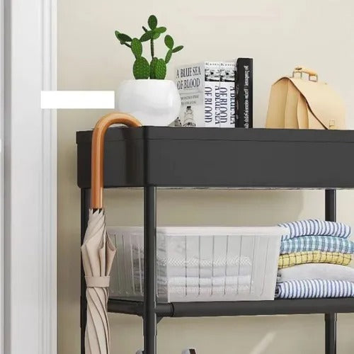Organizador / Zapatero 5 Niveles